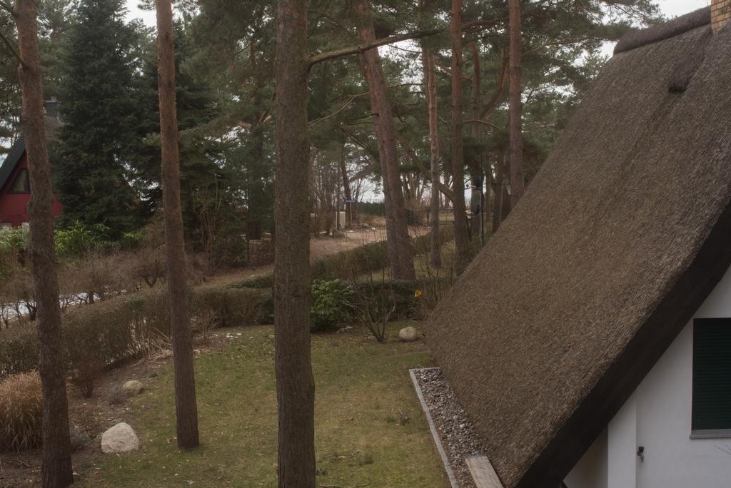 Reetdach-Ferienhaus In Quilitz Rankwitz Buitenkant foto